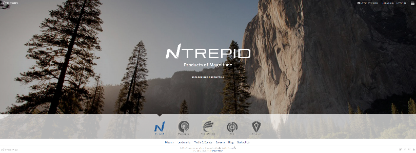 NTREPIDCORP.COM