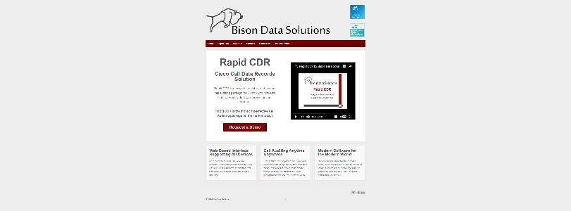 BISONDATASOLUTIONS.COM