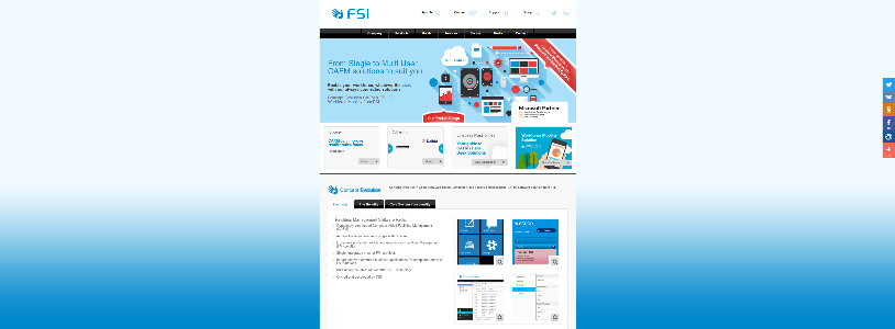 FSI.CO.UK