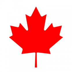 Top 20 Canadian Payroll Services For Small Businesses