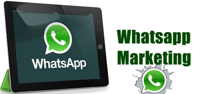 whatsapp marketing software for mac