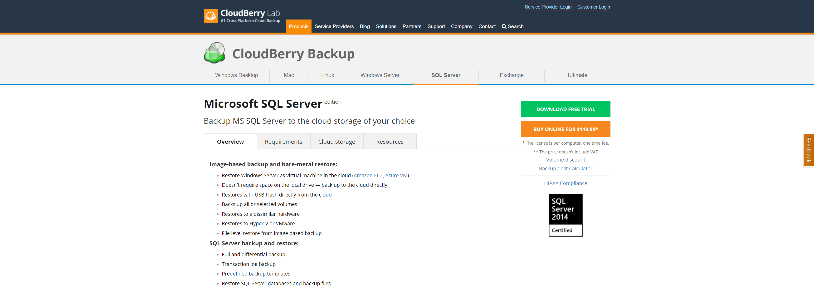 cloudberry backup for ms sql server hangs on restore